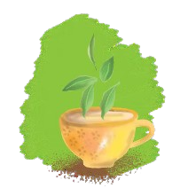 tea2-removebg-preview